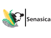 LogoSenasica